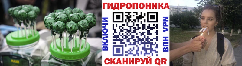 мега рабочий сайт как найти закладки Алагир shop официальный сайт Еда ТГК конопля