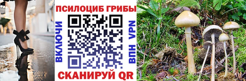 Псилоцибиновые грибы прущие грибы  как найти закладки  Алагир 